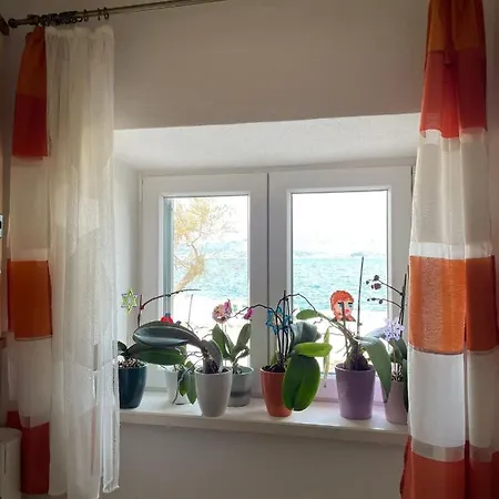 Apartment Ivica *