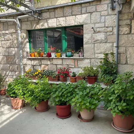 Ivica بوستيرا